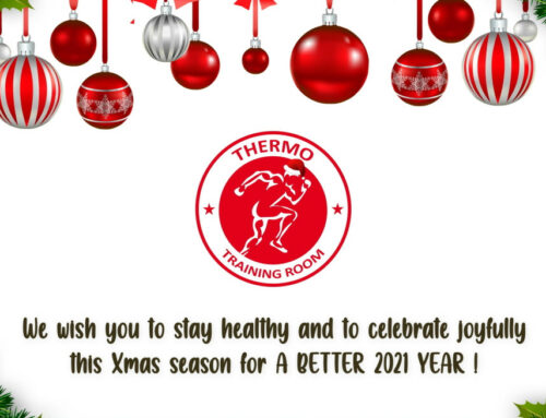 EXCELLENTES FÊTES DE FIN D’ANNÉE !